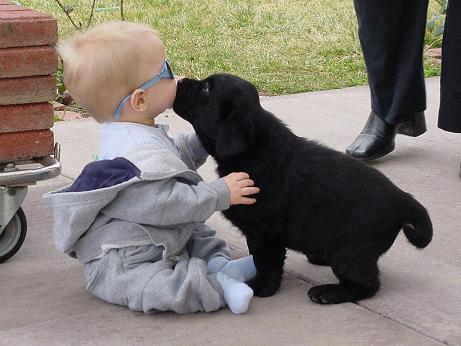 a.baa-Cute-kiss-between-dog-and-ki