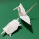折り紙で鶴と亀を作ろう！